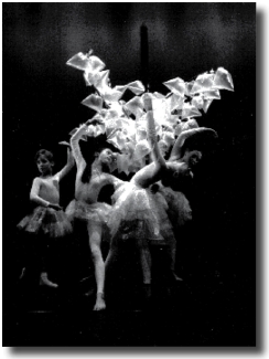 Carré d'Art, dance school in Strasbourg - photo 2 - Ariane Ambrosini