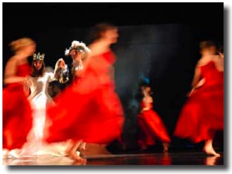 Le Carré d'Art dance school - photo 37