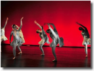 Le Carré d'Art école de danse - photo 44