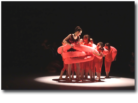 Carré d'Art, école de danse à Strasbourg - photo 1