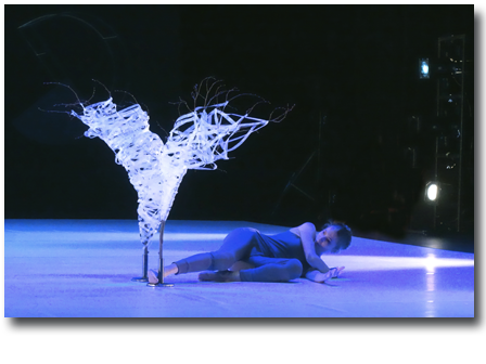 Le Carré d'Art école de danse - photo 40